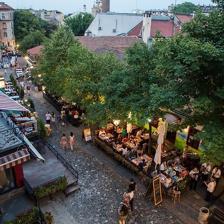 White Owl Hostel Belgrade Chambre photo